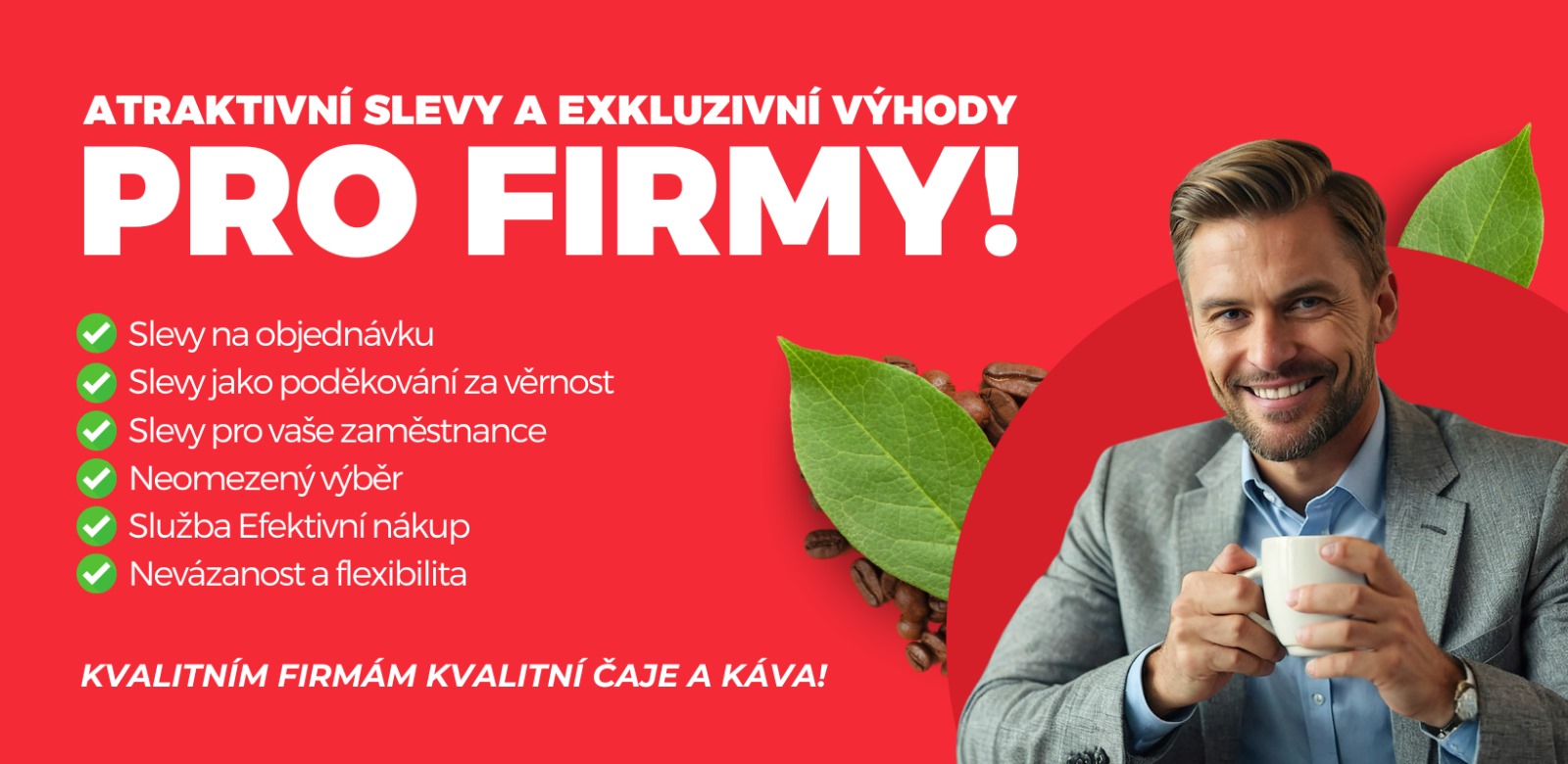Pro firmy